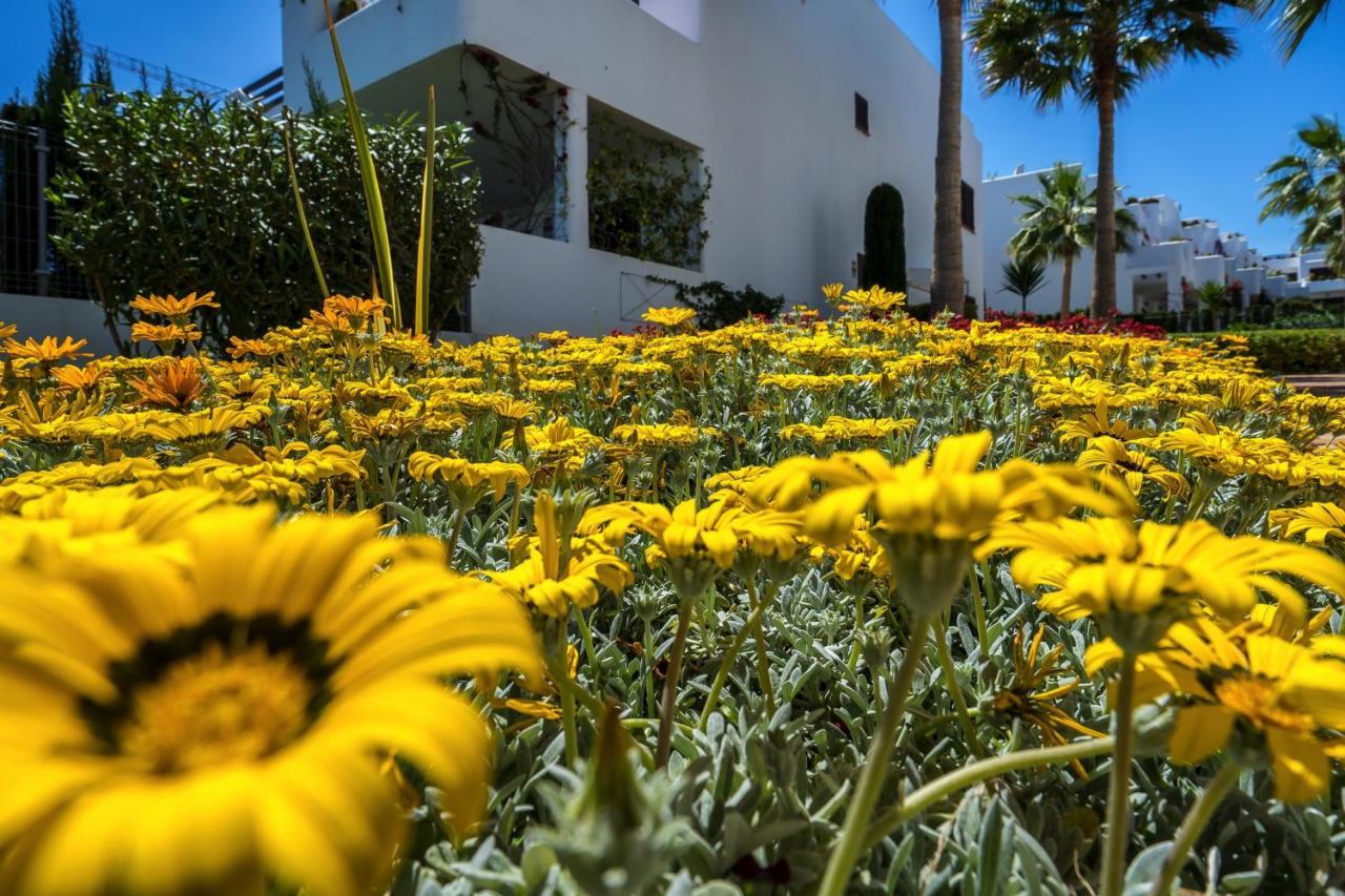 Mango Apartman San Juan de los Terreros Kültér fotó